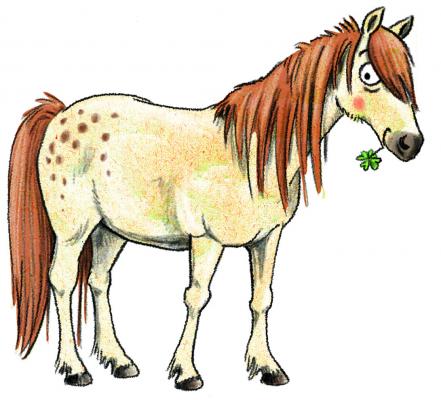Pony mit Kleeblatt