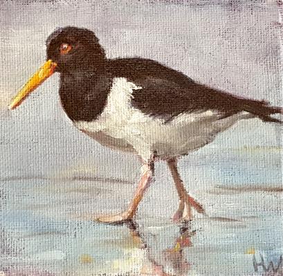 Austernfischer-Miniatur