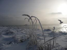 Neustädter Strand, Januar 2011