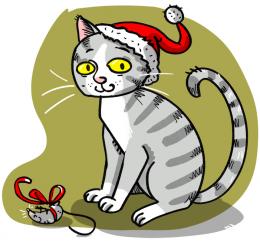Weihnachtskatze