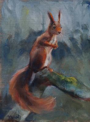 Eichhörnchen 2